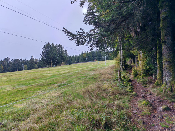 Plain de la Gentiane