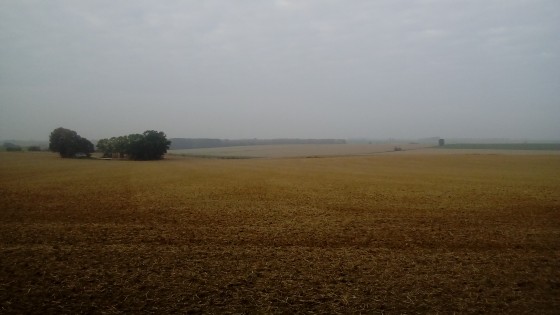 Plaine