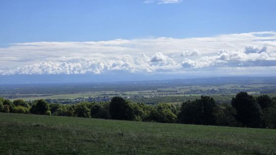 Plaine d'Alsace