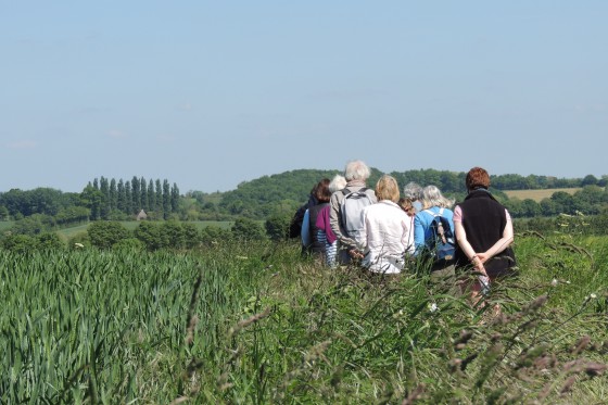 Plaine d'Appenai-sous-Bellême