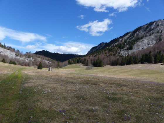 Plaine d'Herbouilly