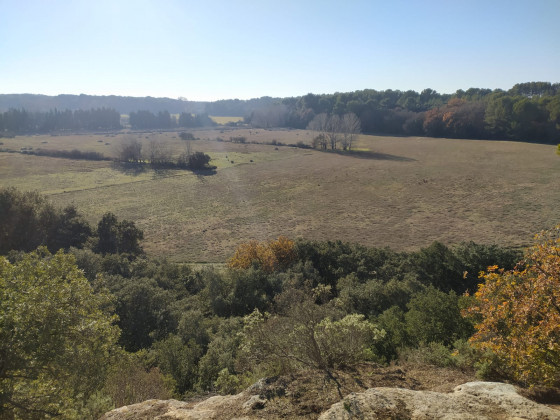 Plaine de Belval