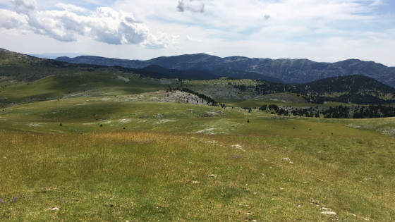 Plaine de Chamousset