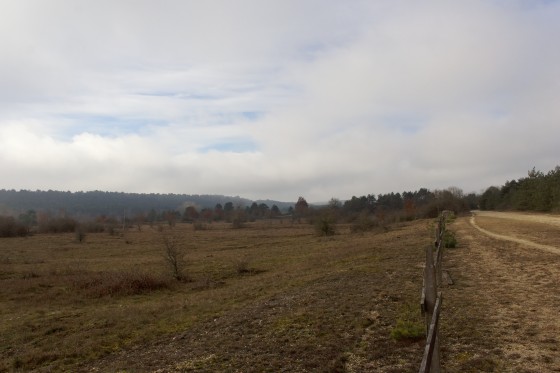 Plaine de Chanfroy