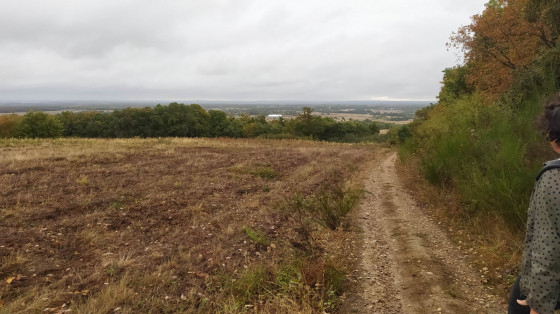 Plaine de Fontenilles