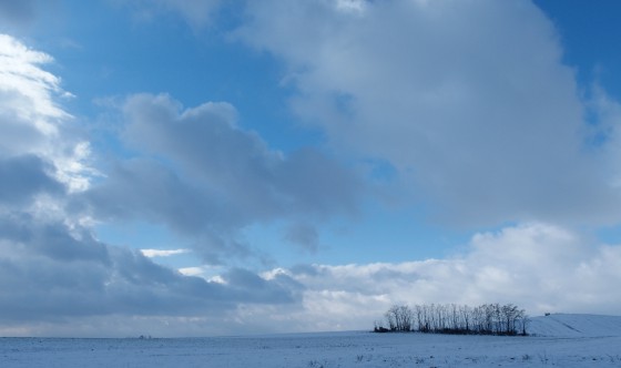 Plaine de la Bièvre