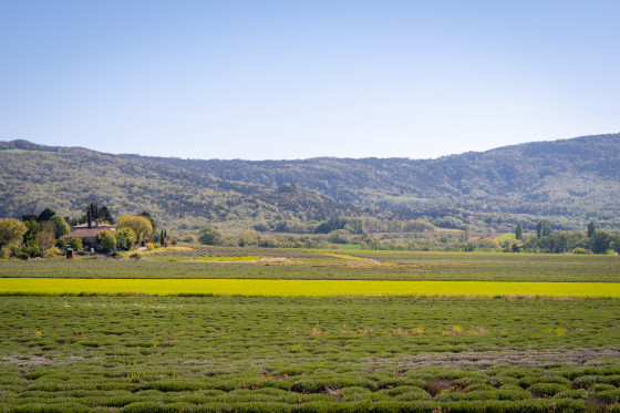 Plaine de la Valdaine