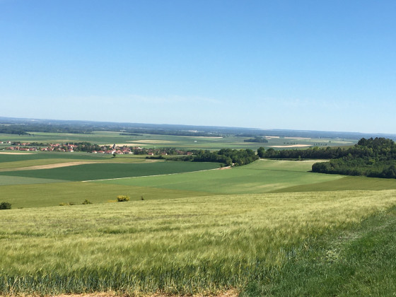 Plaine de Laines-aux-Bois