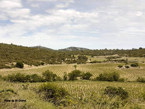 Plaine de St Cristol