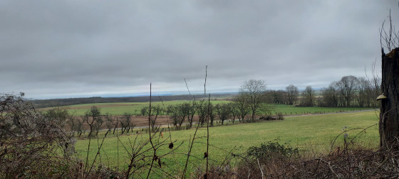 Plaine des côtes de Meuse