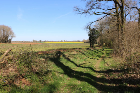 Plaine des Ponchardries