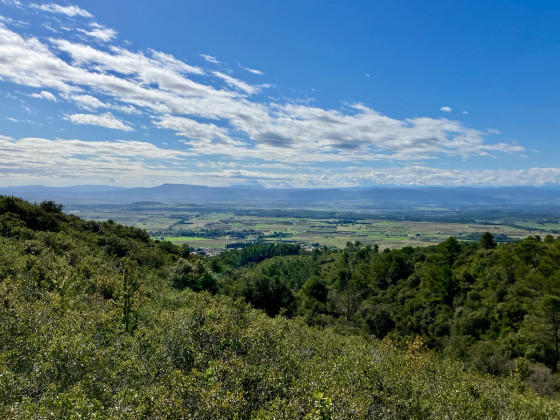 Plaine du Minervois