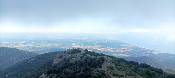 Plaine du Roussillon