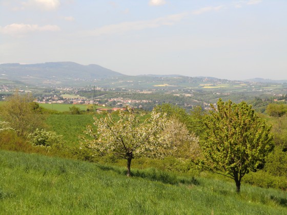 plaine