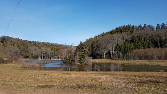 Plan d\'eau au col de steige