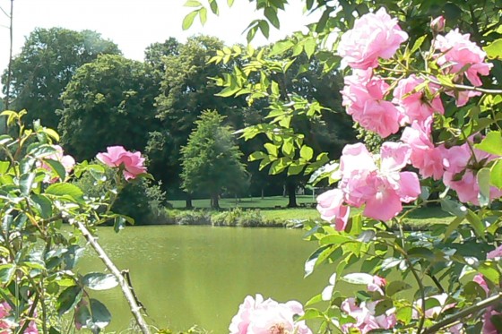 Plan d'eau d'Ailly sur Noye