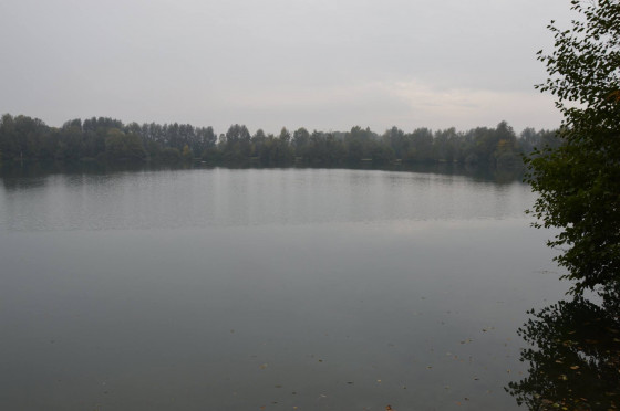 Plan d'eau de Benfeld