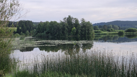 Plan d'eau de la Seigne