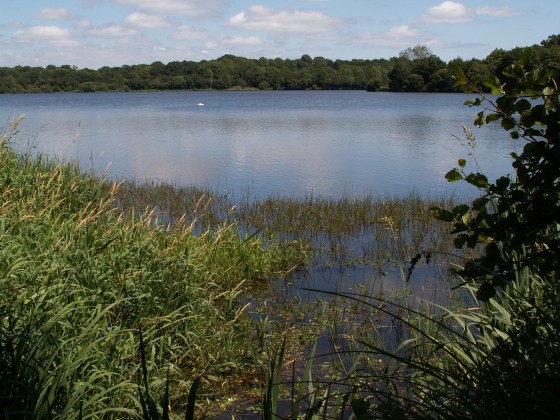 Plan d'eau du Moulin Neuf