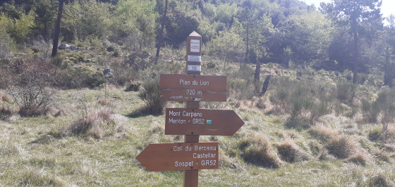 Plan du Lion