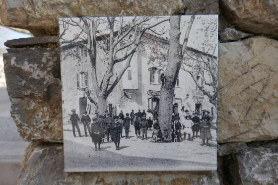 Plaque