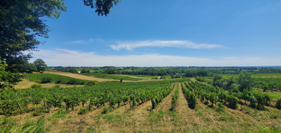 plassac-3