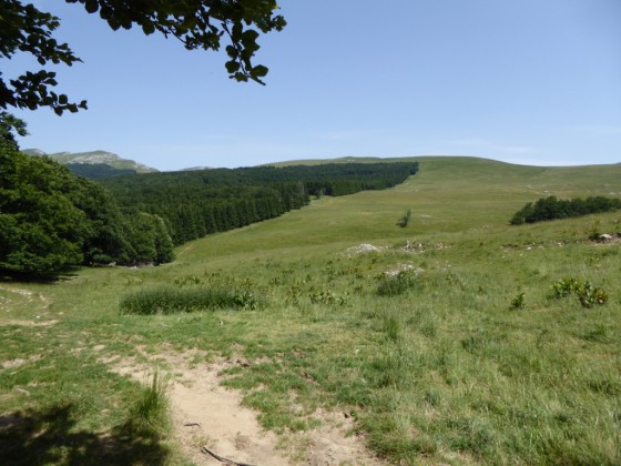 Plateau D\'Ambel