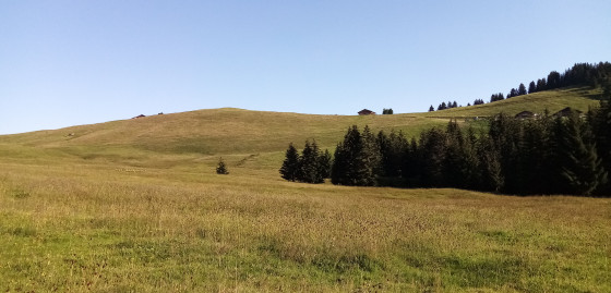 Plateau de Beauregard