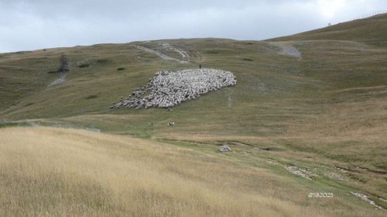 Plateau de Beurre