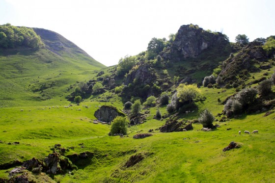 Plateau de l'Artigue