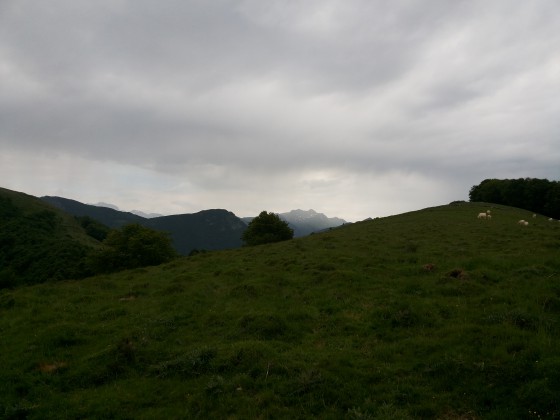 Plateau de l\'Isarce (1350m)