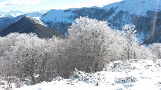 Plateau de l\'Isarce Massif de Saint-Pé-de-Bigorre