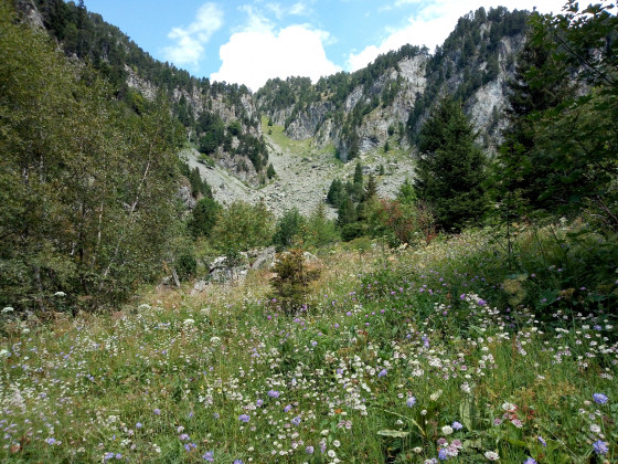 Plateau de l'Oursière