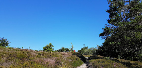 Plateau de Lacaune