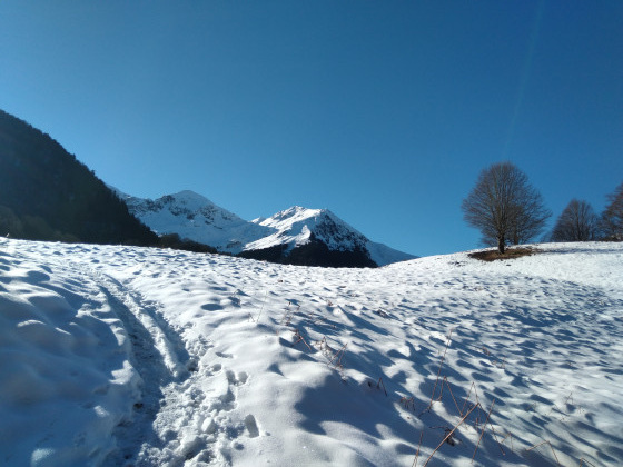 Plateau de souliou