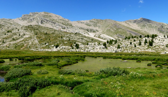 Plateau des Eaux Tortes