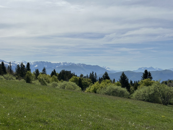 Plateau des ram&eacute;es