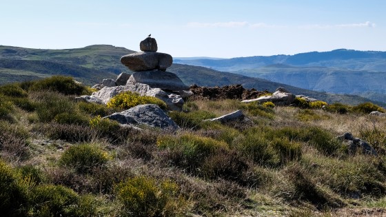 Plateau du Cham de l\'hermet