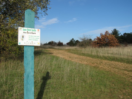 Plateau du fort de Plappeville - 330m