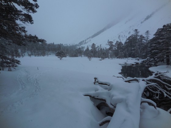 Plateau du lac des Huats (~1680m)