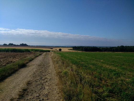 plateau entre Montplonne et Stainville