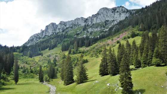 Plateau sauvage