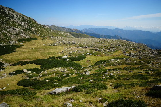Plateau suspendu