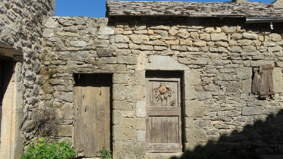 Plein de cardabelles sur les portes, chardons magiques !