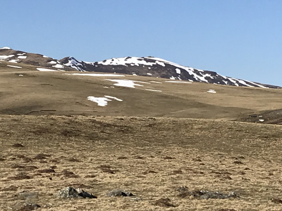 Plomb du Cantal