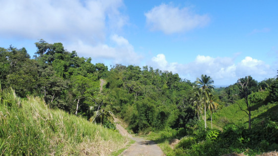 Plongée vers la Ravine de Guy Balaou