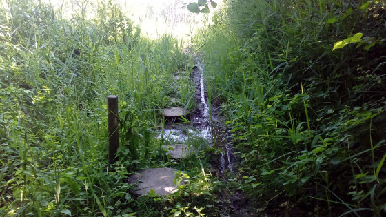 Plots de bois