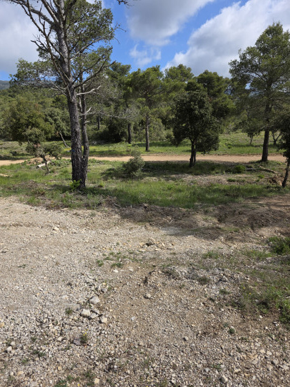 plusieurs chemins