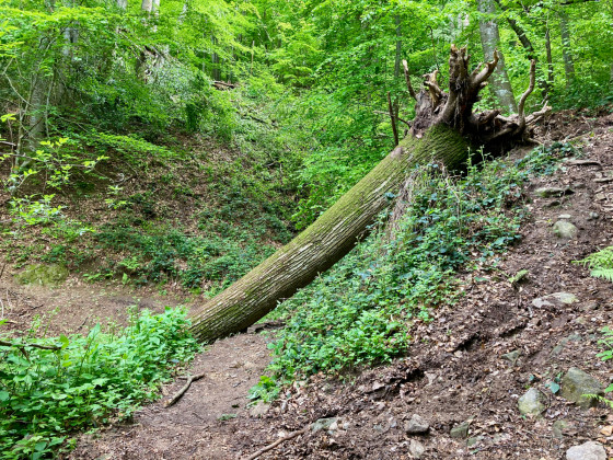 Point 10 : attention danger !