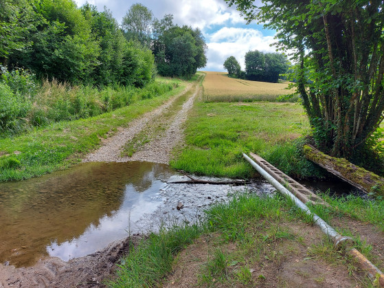 Au point 4, longer le ruisseau sur la droite pour retrouver le poteau